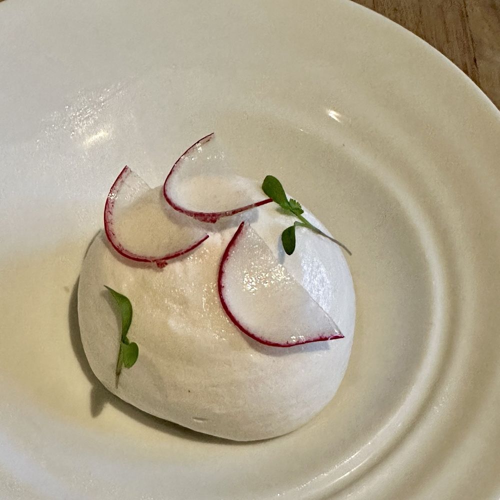 Quarter Acre - Kingfish ceviche - New American Near Me - Dallas, Texas