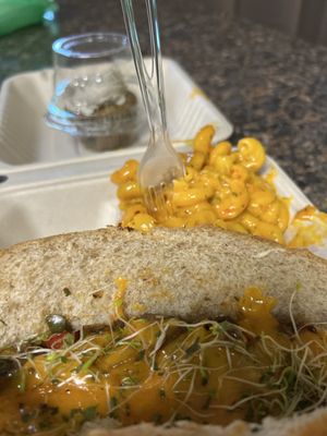 The Reizod Vegan Experience by null
