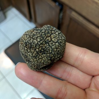 Berkeley Bowl Marketplace - Truffle from China, $99/lb as of 12/17 - Grocery Near Me - Berkeley, California Berkeley Bowl Marketplace - Truffle from China, $99/lb as of 12/17 - Grocery Near Me - Berkeley, California