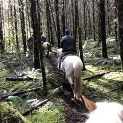 Flying M Ranch - Straight up riding through the forest