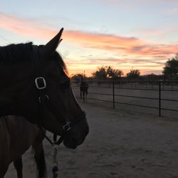 Osoready Equestrian Center