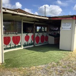 C & S Strawberry Patch
