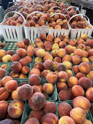 Charlotte Regional Farmers Market by null
