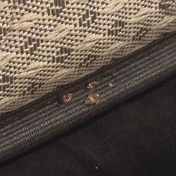 The Ashley House Inn & Suites - Bed bugs