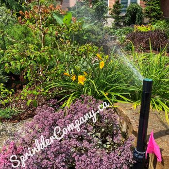 The Sprinkler Company - Lawn Services Near Me - Vaughan, Ontario The Sprinkler Company - Lawn Services Near Me - Vaughan, Ontario