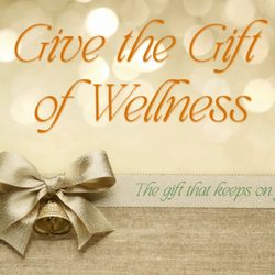 Therapeutic Touch Wellness Center