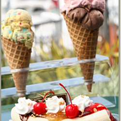 Scoop Deck Ice Cream Shop