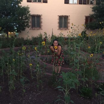 La Posada Hotel - Sunflower garden at sunset - Hotels Near Me - Winslow, Arizona