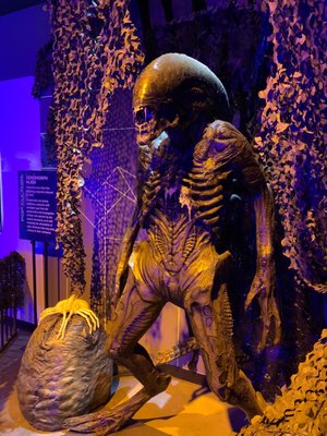 UFO Experience by null