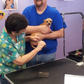 R-Tailz-R-Waggin Too - Scaredy cat! - Pet Groomers Near Me - Kenner, Louisiana R-Tailz-R-Waggin Too - Scaredy cat! - Pet Groomers Near Me - Kenner, Louisiana