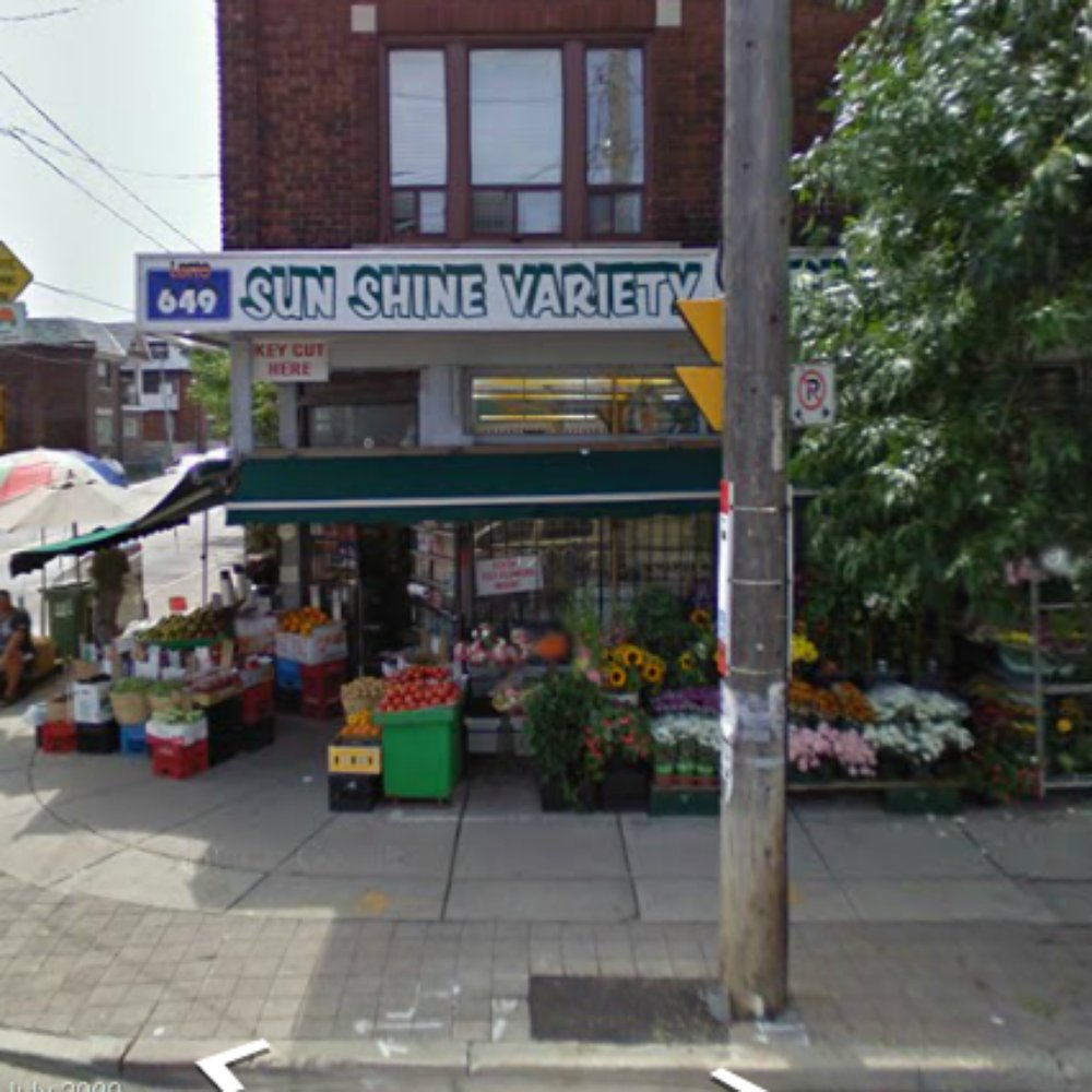 Sun Shine Variety - the corner of a street - Nurseries & Gardening Near Me - Toronto, Ontario Sun Shine Variety - the corner of a street - Nurseries & Gardening Near Me - Toronto, Ontario