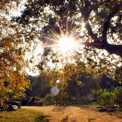 Descanso Gardens