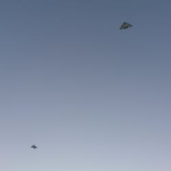 Parque Alem - Barriletes  revoloteando en el cielo azul