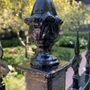 Photo of Chicago Wrought Iron Fence Painting