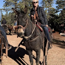 Canyon Trail Rides