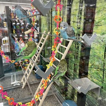Petco - Birds - Pet Stores Near Me - Virginia Beach, Virginia