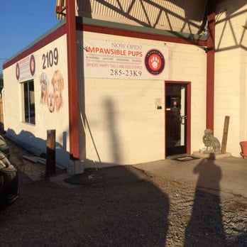 Impawsible Pups - Pet Training Near Me - Richmond, Virginia Impawsible Pups - Pet Training Near Me - Richmond, Virginia