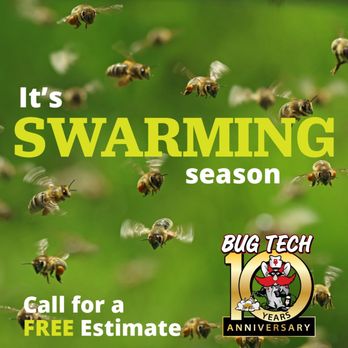 Bug Tech - Pest Control Near Me - Lubbock, Texas Bug Tech - Pest Control Near Me - Lubbock, Texas