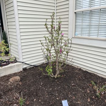Sticks N Chips Tree Experts and Landscaping - Landscaping Near Me Sticks N Chips Tree Experts and Landscaping - Landscaping Near Me