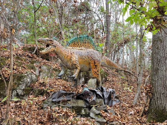 Backyard Terrors and Dinosaur Park by null