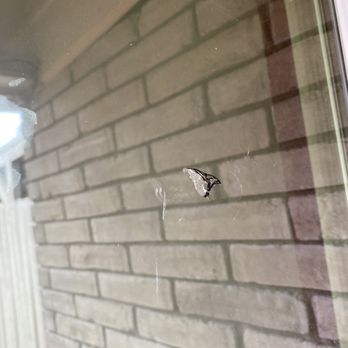 AtticDr - a window with a hole in it - A photograph of a window with a small, chipped or damaged area on the glass surface. The window reflects a brick wall outside, which is visible through the glass. The damage appears as a tiny hole or crack, and the reflection of the brick wall is clear behind the damaged area. - General Contractors Near Me - Austin, Texas