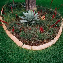Native Gardeners