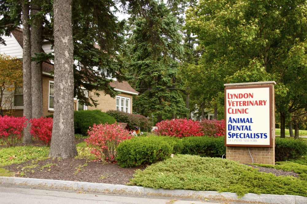 LYNDON VETERINARY CLINIC TEMP. CLOSED Updated October 2024 10
