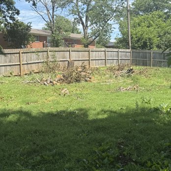 Affordable Tree Care & Stump Removal - Tree Services Near Me Affordable Tree Care & Stump Removal - Tree Services Near Me