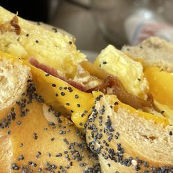 Brooklyn Water Bagel