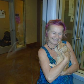 Joybound - my new Arf kitten..Lamby - Animal Shelters Near Me - Walnut Creek, California Joybound - my new Arf kitten..Lamby - Animal Shelters Near Me - Walnut Creek, California