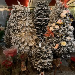 Queens Trees - Flocked Christmas trees