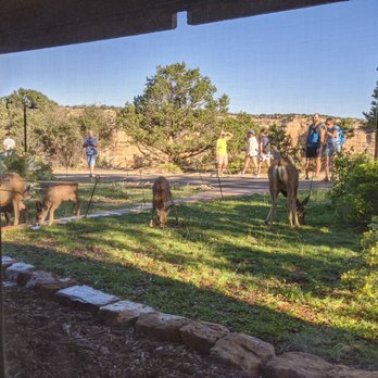 Thunderbird Lodge - rm 6213 window view - Hotels Near Me