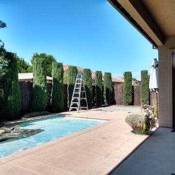Leon Tree Services - Tree Services Near Me Leon Tree Services - Tree Services Near Me