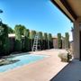 Leon Tree Services