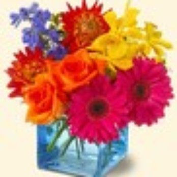 Paoli Florist - a colorful bouquet of flowers - Nurseries & Gardening Near Me - Paoli, Pennsylvania Paoli Florist - a colorful bouquet of flowers - Nurseries & Gardening Near Me - Paoli, Pennsylvania