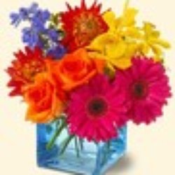 Paoli Florist