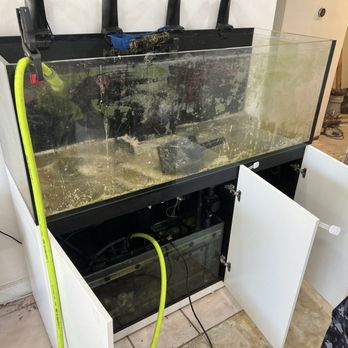 JR Reefs - Aquarium Services Near Me
