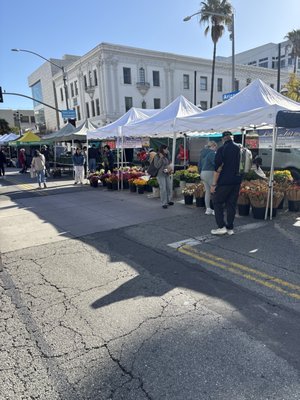 Farmers Market - Wednesday/Saturday Downtown Santa Monica by null