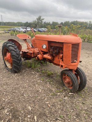 Bremer Produce U-Pick Flower Farm by null