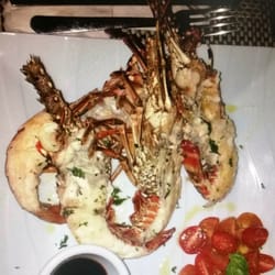 El Pez Nativo - Lobster
