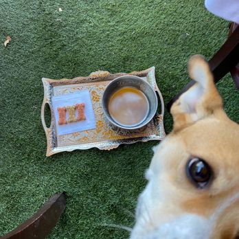 Morrison - Complimentary biscuits and water for our dog - Gastropubs Near Me - Los Angeles, California