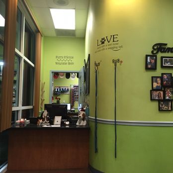 VCA Cabrera Animal Hospital - Veterinarians Near Me - West Miami, Florida VCA Cabrera Animal Hospital - Veterinarians Near Me - West Miami, Florida