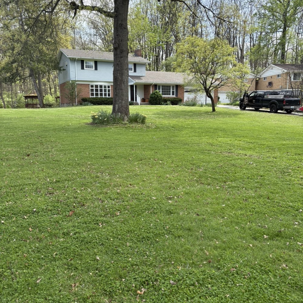 HBM Home Solutions - Front yard looks like a green carpet. - Handyman Near Me HBM Home Solutions - Front yard looks like a green carpet. - Handyman Near Me