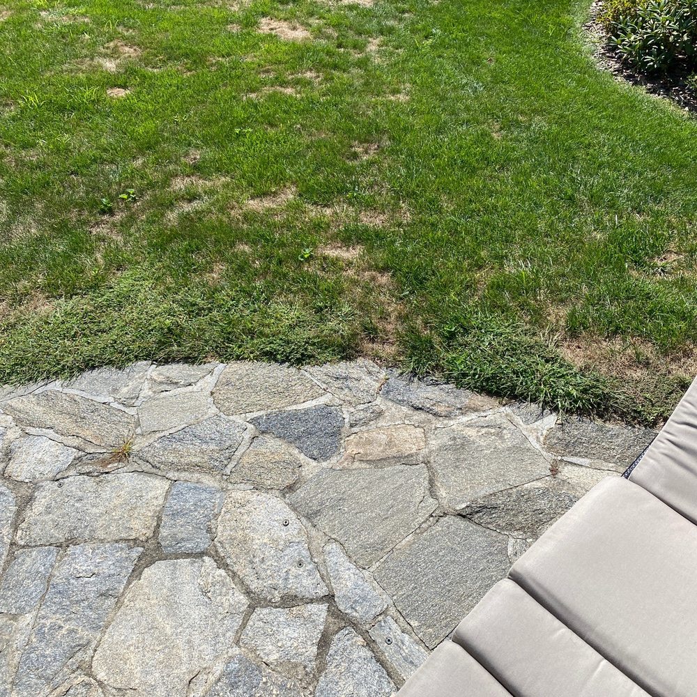 TruGreen Lawn Care - Off patio - Pest Control Near Me - Upper Saddle River, New Jersey TruGreen Lawn Care - Off patio - Pest Control Near Me - Upper Saddle River, New Jersey