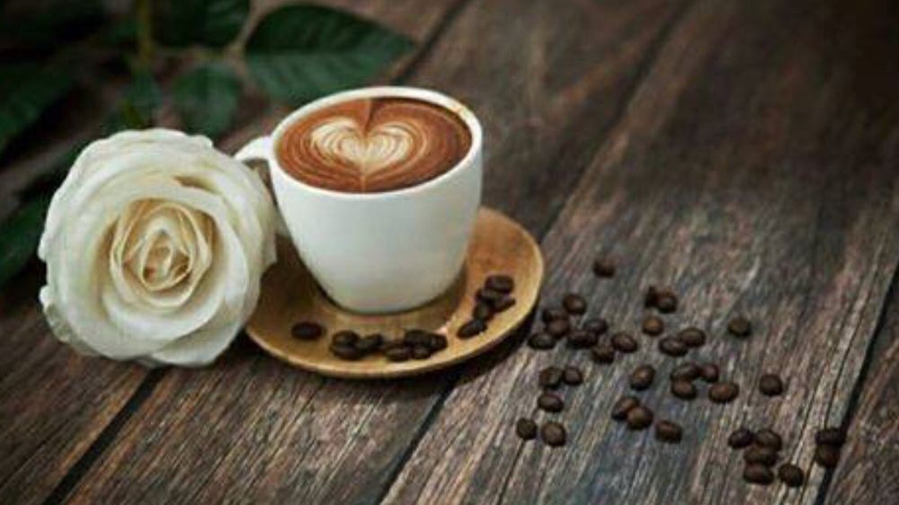 Blue Heron Trading Company Logo