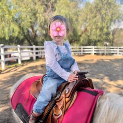 Cheyenne Arabians