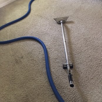 Peace Frog Area Rug Cleaning - This stuff is just sitting, waiting...nothing being done. - Carpet Cleaning Near Me - Leander, Texas Peace Frog Area Rug Cleaning - This stuff is just sitting, waiting...nothing being done. - Carpet Cleaning Near Me - Leander, Texas