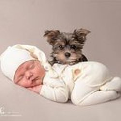 Labor Doula Company - Babies and puppies, how can you go wrong?