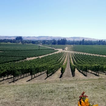 Scribe Winery - Wineries Near Me - Sonoma, California