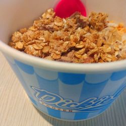 Dickie Yo's Frozen Treats - Coconut Froyo